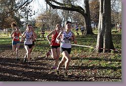 Begles 15.12.13 01 716 * 679 x 453 * (214KB)